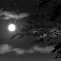 Bitwise Operators: With an usecase (Bitmasking)